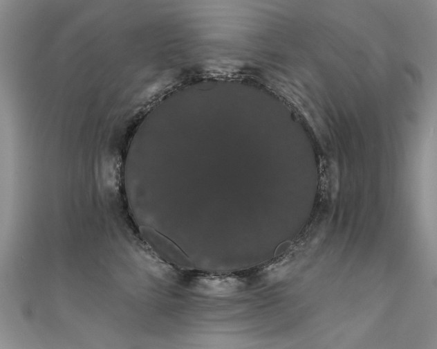 X0000111520712200907141508