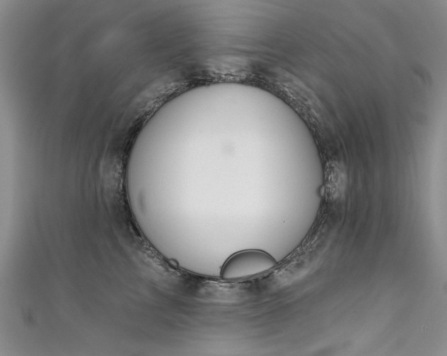 X0000111520713200907141508