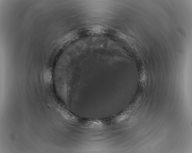 X0000111520715200907141507