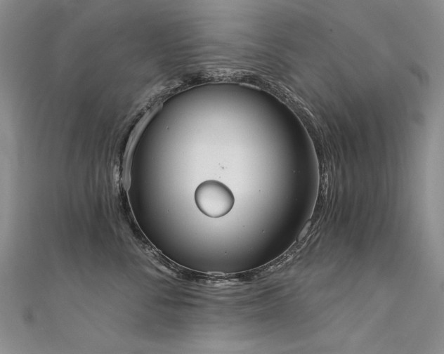 X0000111520716200907141507