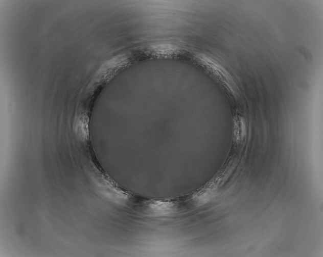 X0000111520718200907141507