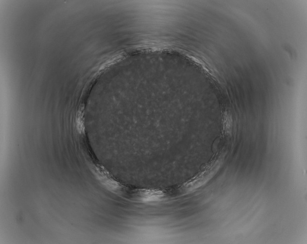 X0000111520719200907141507