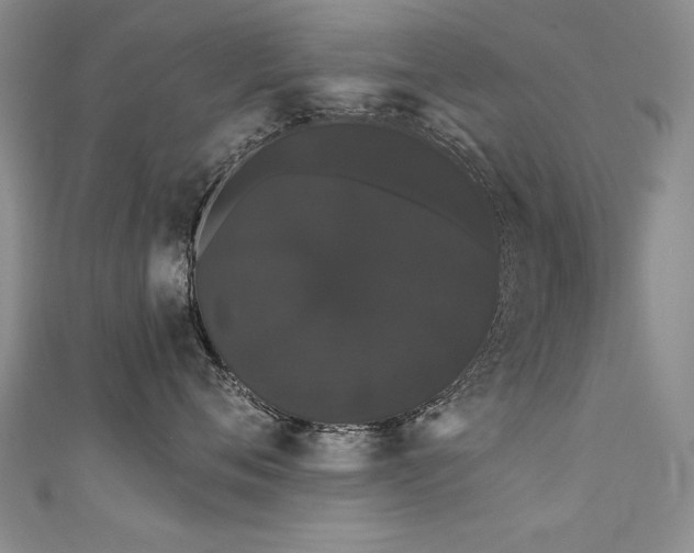 X0000111520720200907141507
