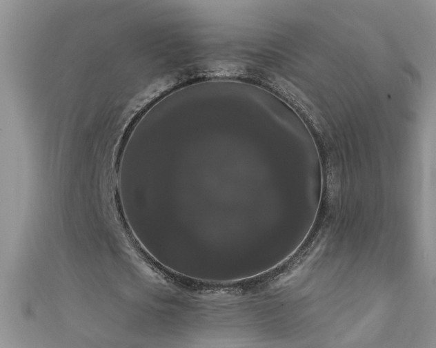 X0000111520721200907141507