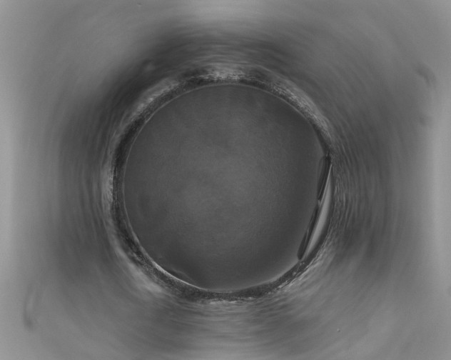 X0000111520722200907141507
