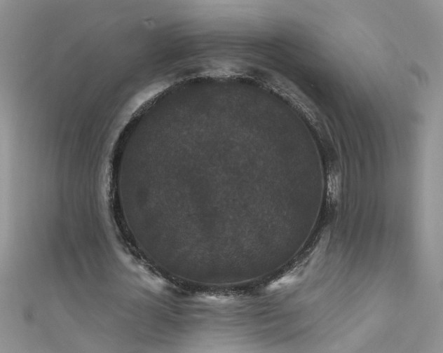 X0000111520724200907141507