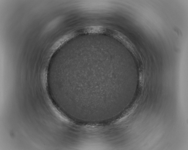 X0000111520725200907141507