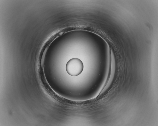 X0000111520726200907141507
