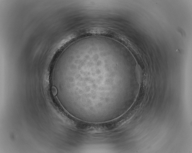 X0000111520727200907141507