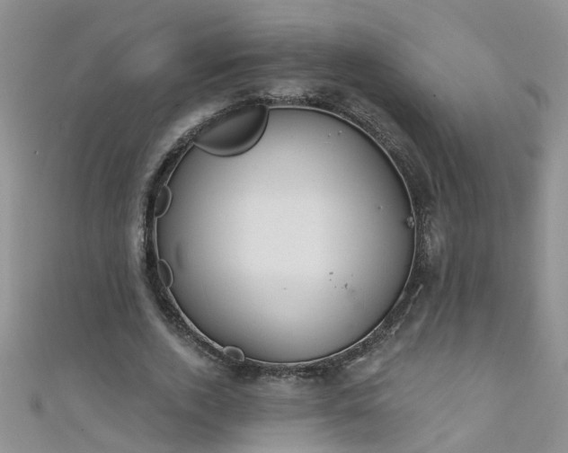 X0000111520728200907141507