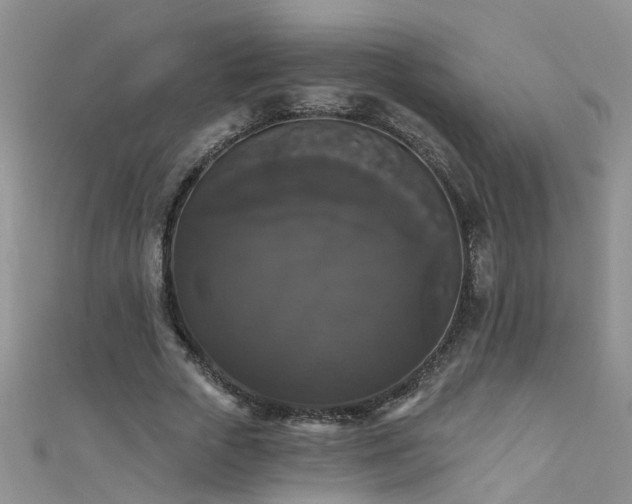 X0000111520729200907141507