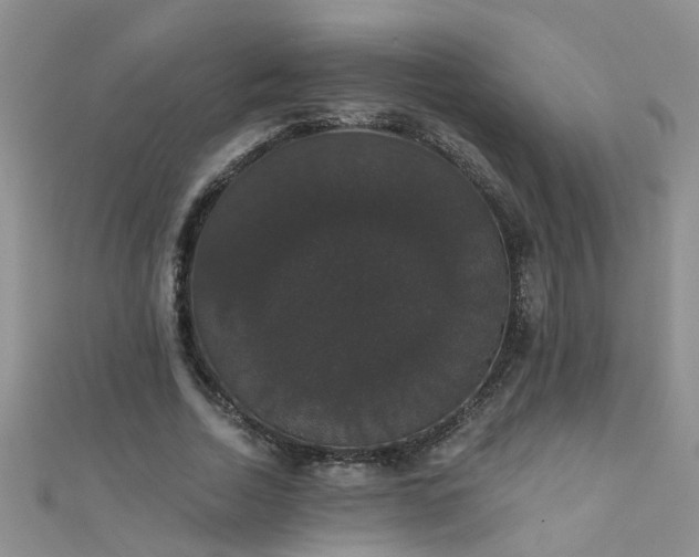 X0000111520730200907141507