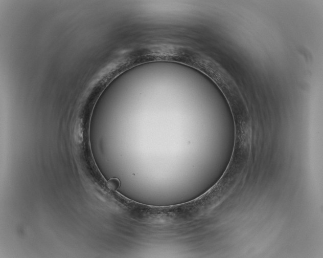 X0000111520731200907141507