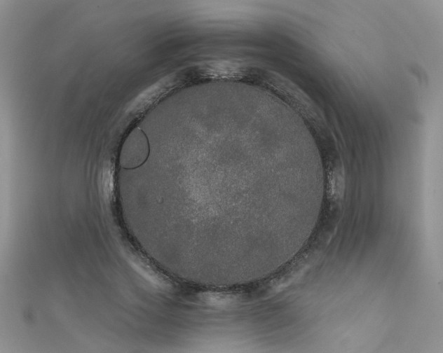 X0000111520733200907141507