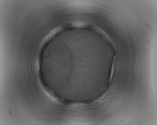 X0000111520734200907141507