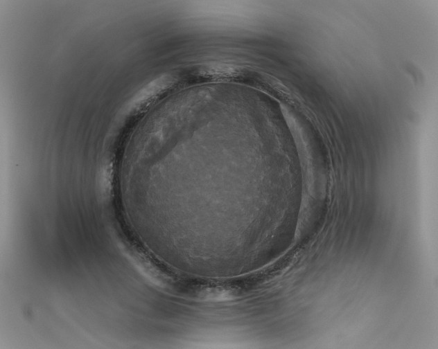 X0000111520735200907141507