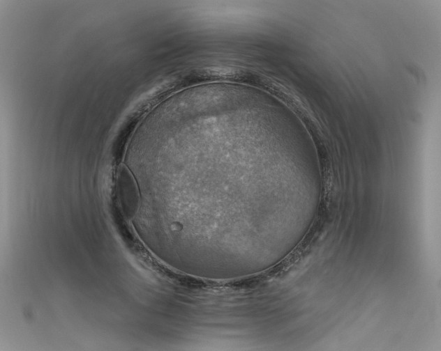 X0000111520736200907141507