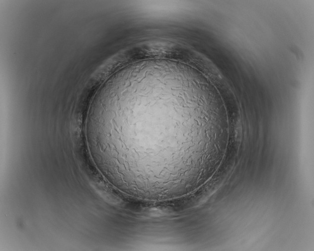 X0000111520737200907141507