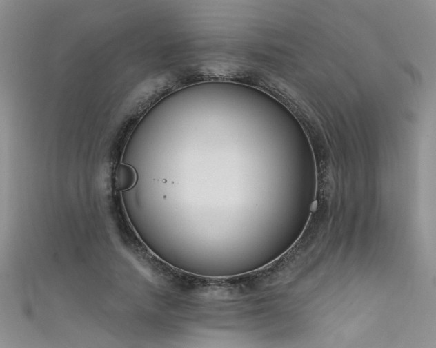 X0000111520738200907141507