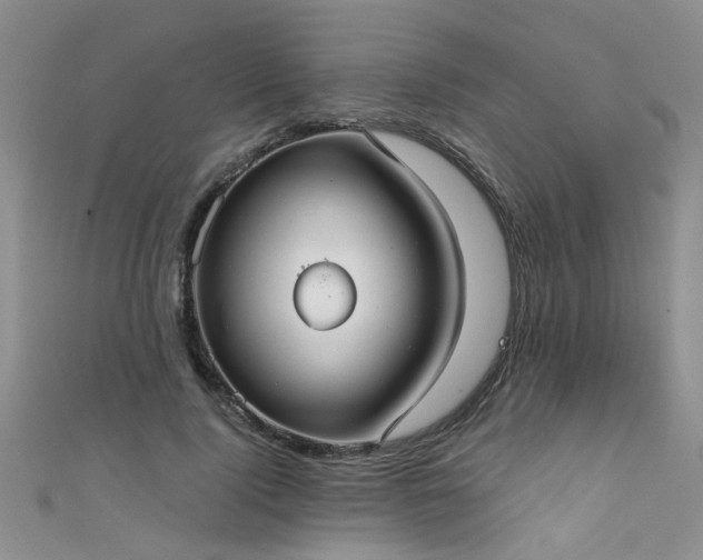 X0000111520740200907141507