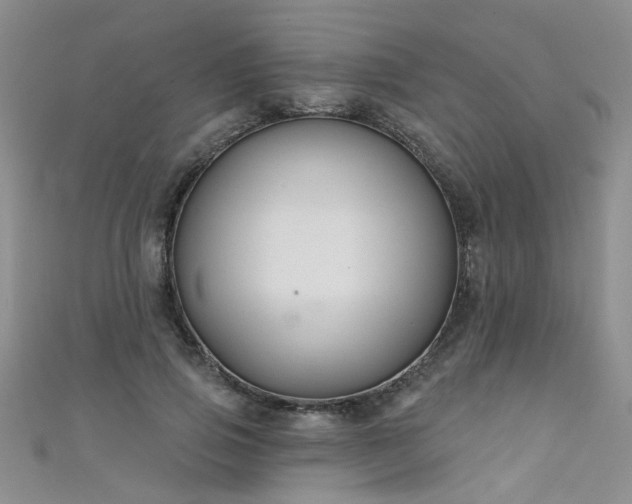 X0000111520741200907141507