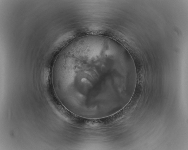 X0000111520742200907141507