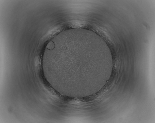 X0000111520743200907141507