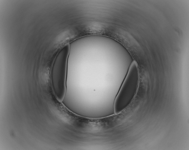 X0000111520744200907141507