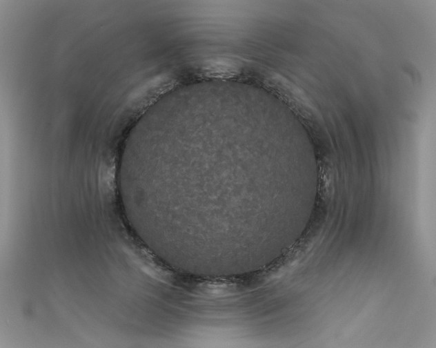 X0000111520745200907141507