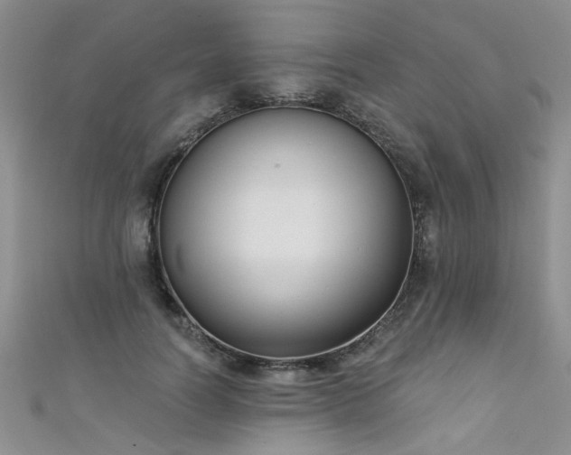 X0000111520746200907141507