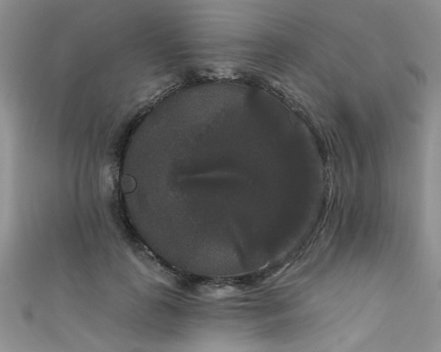 X0000111520747200907141507