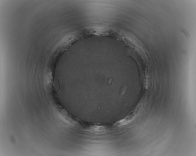 X0000111520748200907141507