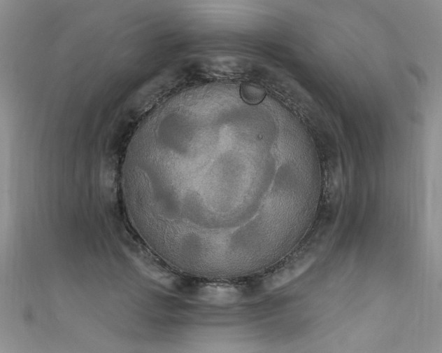 X0000111520749200907141507