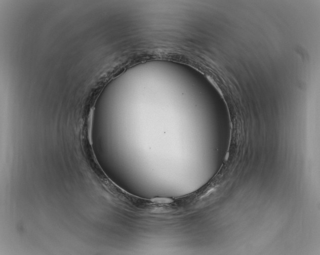 X0000111520750200907141507