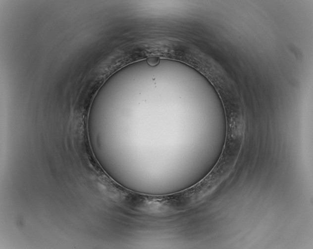 X0000111520753200907141507