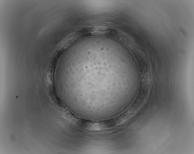 X0000111520755200907141507