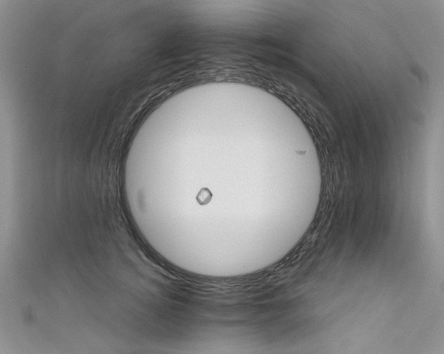X0000111520756200907141507