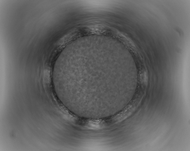 X0000111520757200907141507