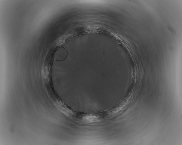 X0000111520759200907141507
