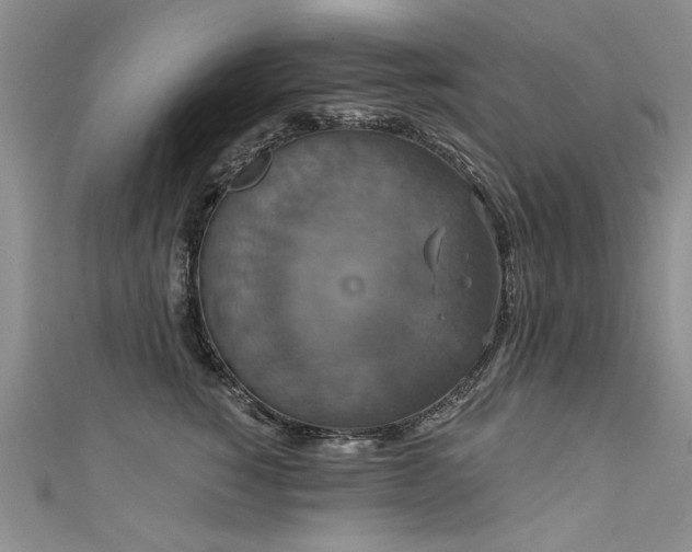 X0000111520760200907141507