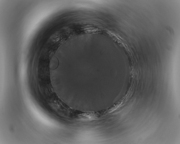 X0000111520763200907141507