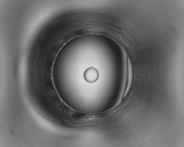 X0000111520764200907141507