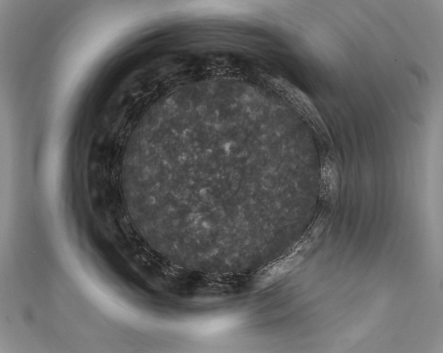 X0000111520765200907141507
