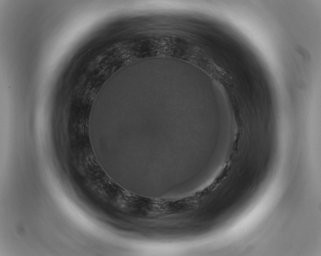 X0000111520766200907141507