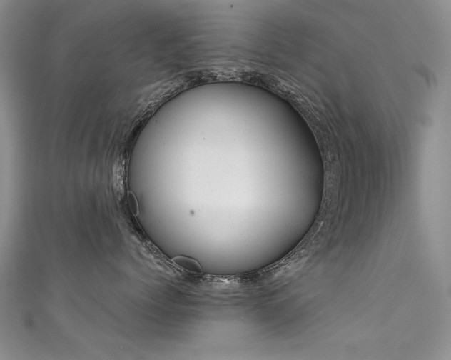 X0000111520768200907141507