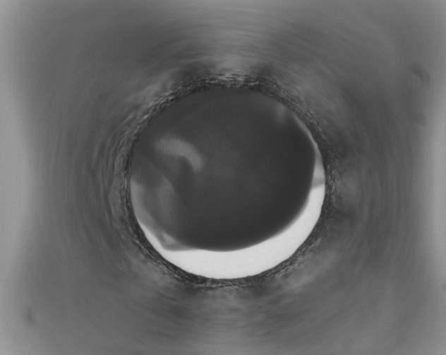 X0000111520769200907141507