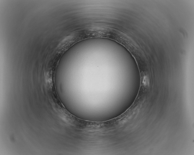 X0000111520771200907141507
