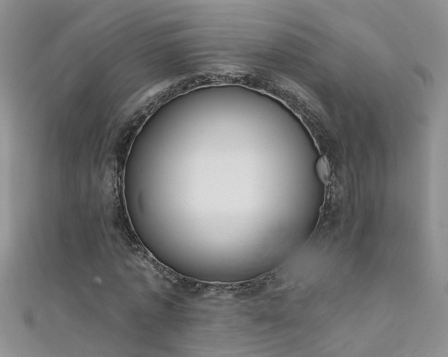 X0000111520773200907141507