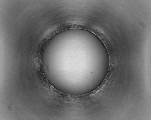 X0000111520774200907141507