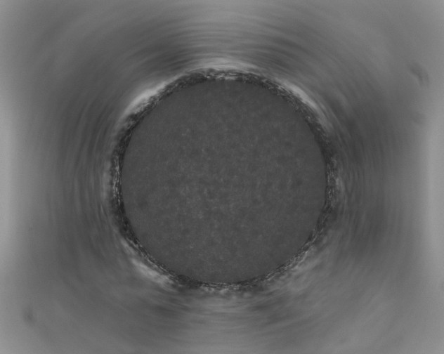 X0000111520775200907141507